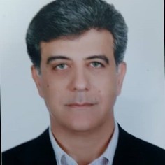 Vahid Shahsanaei headshot