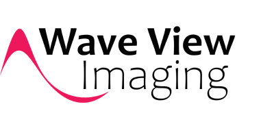 Wave View logo